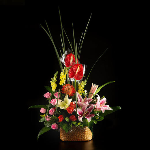 【流星赶月】 商品图0