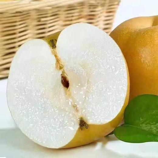 【新鲜水果】秋月梨新鲜水果5-6个大果4.5至5斤装整箱礼盒  森农 商品图1