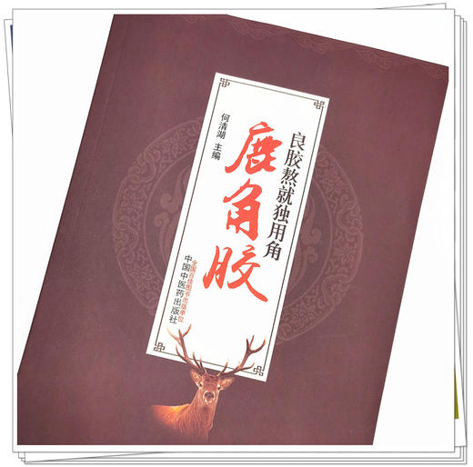 现货【出版社直销】良胶熬就独用角 鹿角胶 何清湖 主编 中国中医药出版社 商品图3