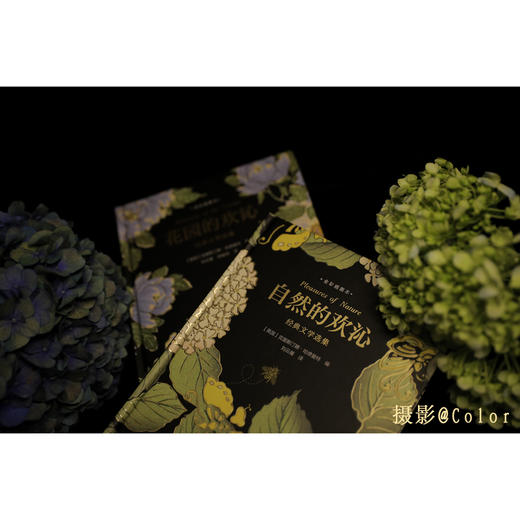 《自然的欢沁》《花园的欢沁》经典文学选集（全彩插图本） 商品图12