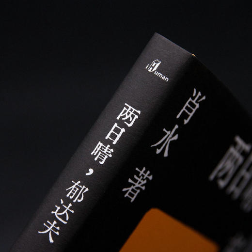 两日晴，郁达夫——绝句小说诗  肖水 著   当代   故事诗   汉语诗歌   新文本形式   广西师范大学出版社 商品图3