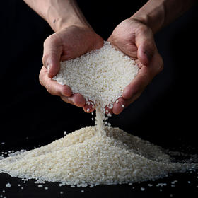 【百】散称长粒香米 500g