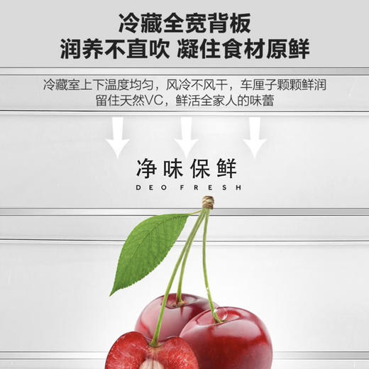 统帅（Leader）冰箱BCD-410WLLFDD7B1（海尔出品） 商品图10