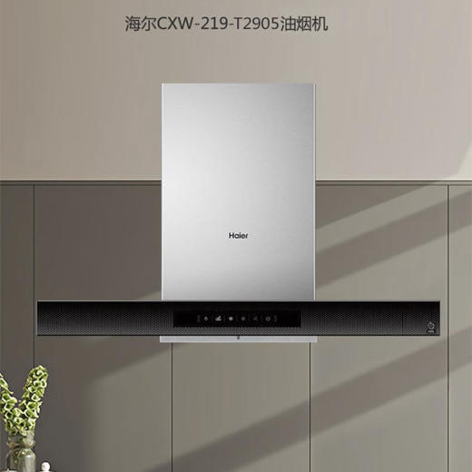 海尔（Haier）烟机CXW-219-T2905 商品图0