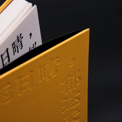 两日晴，郁达夫——绝句小说诗  肖水 著   当代   故事诗   汉语诗歌   新文本形式   广西师范大学出版社 商品图4