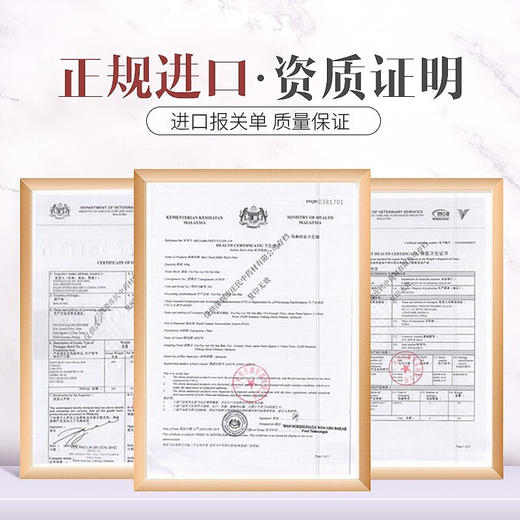庄民 干燕窝 白燕盏燕角50g 燕窝礼盒装马来西亚进口溯源干盏燕角条 礼盒 商品图6