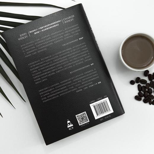 两个人改变世界：卫斯理兄弟传 商品图4