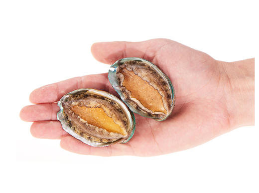 壮元海鲍鱼  500g/袋*3袋 商品图0