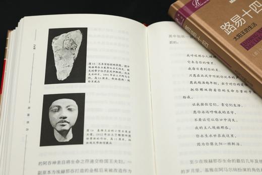 现货 索恩 生而为王（全13册） 社会科学文献出版社 商品图2