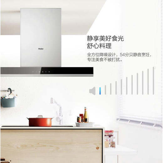 海尔（Haier）烟机CXW-219-T8901 商品图5