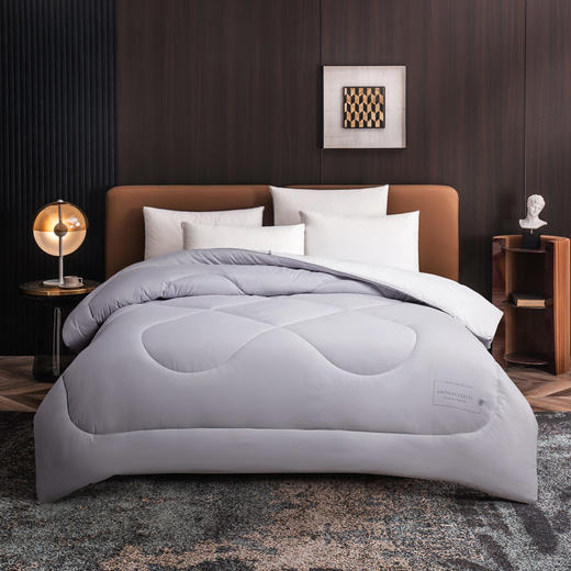 愉悦之家柔暖蓬蓬被 商品图0