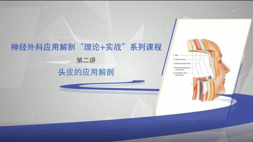 神经外科应用解剖“理论+实战”系列2：头皮的应用解剖 商品图0