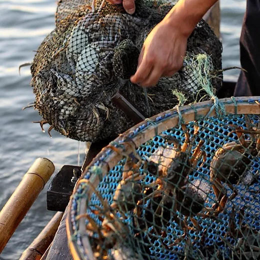 蟹卡 | 阳澄湖大闸蟹 | 公3.5两4只/母2.5两4只 |礼券 商品图6