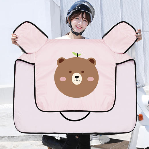 【日用百货】夏季防晒遮阳防水电动车挡风被 商品图3