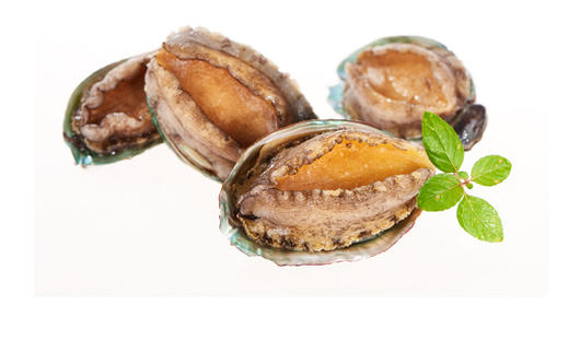 壮元海鲍鱼  500g/袋*3袋 商品图1