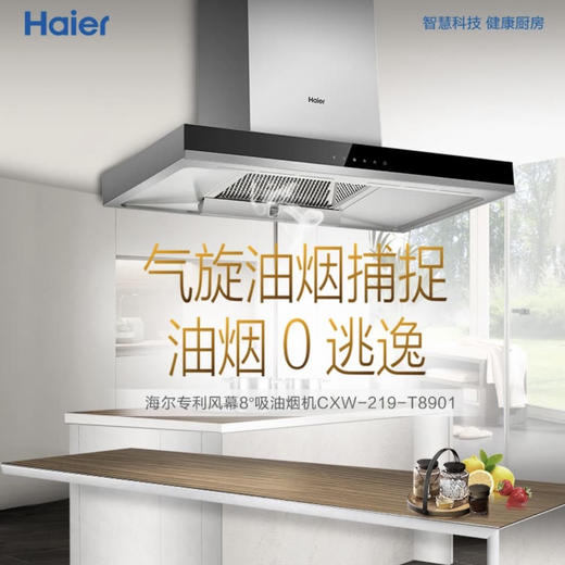 海尔（Haier）烟机CXW-219-T8901 商品图0