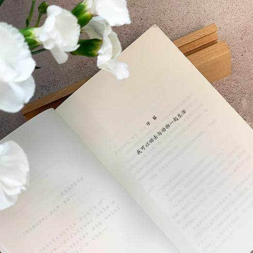 混沌力学 当代法语获奖小说 3001101 商品图3