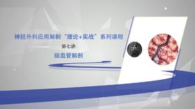神经外科应用解剖“理论+实战”系列7：脑血管解剖