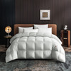 愉悦之家 Silence错层锁温混合羽绒被 春秋 商品缩略图0