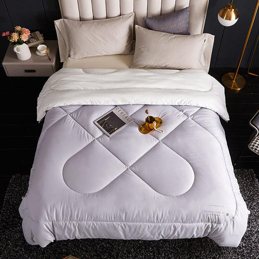 愉悦之家柔暖蓬蓬被 商品图2