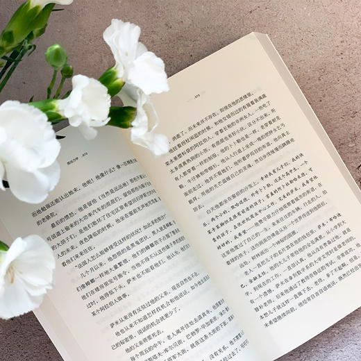 混沌力学 当代法语获奖小说 3001101 商品图4