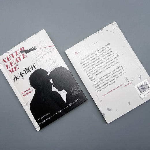 永不离开 二十世纪流行经典系列 3001108 商品图5