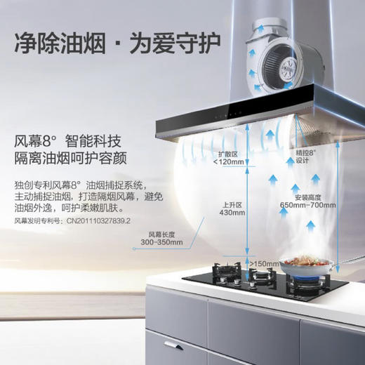 海尔（Haier）烟机CXW-219-T8901 商品图1