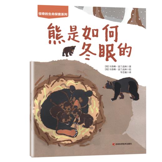 黑熊的冬眠 商品图0