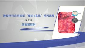 神经外科应用解剖“理论+实战”系列5：脑表面解剖