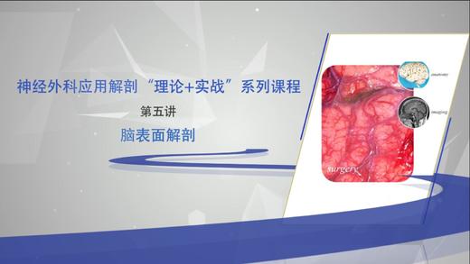 神经外科应用解剖“理论+实战”系列5：脑表面解剖 商品图0