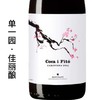 西班牙宝藏产区圣山菲朵酒庄单一园，年产6000支，混酿干红葡萄酒 商品缩略图2