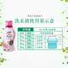 花王(KAO) 馨香洗衣液（甜蜜玫果香）690g 原740g（两款随机发、介意误拍） 商品缩略图7