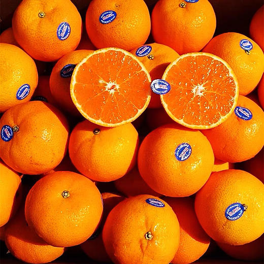 进口2PH澳柑 甜蜜多汁橘子桔子  柑橘子 商品图4