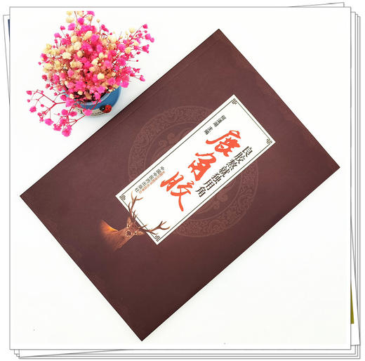 现货【出版社直销】良胶熬就独用角 鹿角胶 何清湖 主编 中国中医药出版社 商品图4