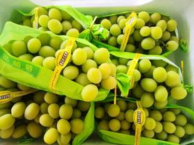 购物车领券结算授权