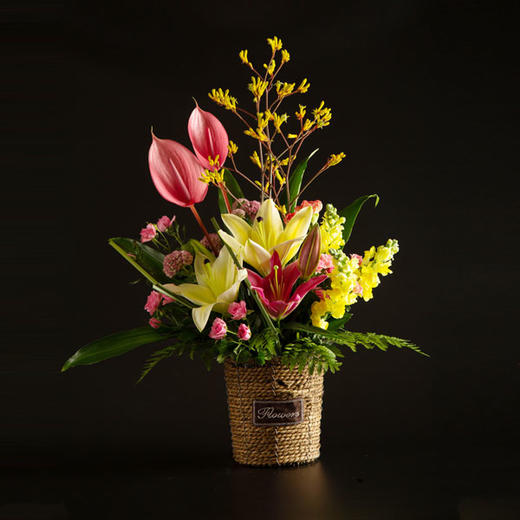 【今月古月】 商品图0