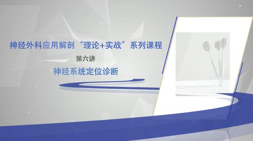 神经外科应用解剖“理论+实战”系列6：神经系统定位诊断 商品图0