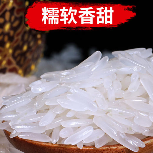 【百】散称泰国一级茉莉香米 500g 商品图0