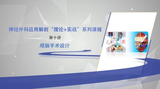 神经外科应用解剖“理论+实战”系列10：颅脑手术设计 商品图0