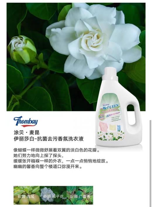 （箱/6瓶）Thombay 涂贝 伊丽莎白抗菌去污香氛洗衣液【BN】 商品图0