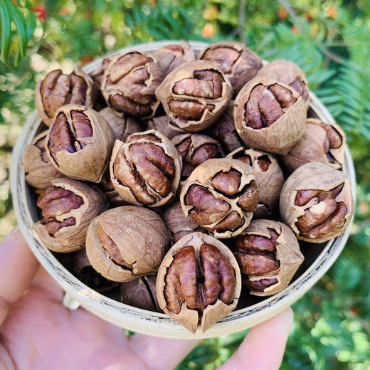 【2023年采摘新货 来自中国山核桃之都】临安手剥山核桃  轻松剥壳 纯手工采摘 粒大饱满松脆飘香 补脑坚果 160g/罐 多口味 送礼佳品 商品图6