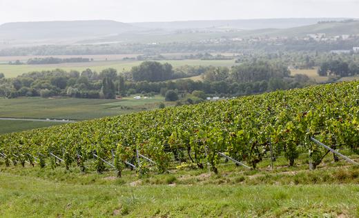 Henri Giraud Aÿ Blanc de Blancs Grand Cru 2013 亨利-吉罗特级葡萄园白中白香槟 商品图1