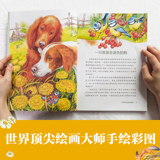 大自然里的故事系列 商品图4