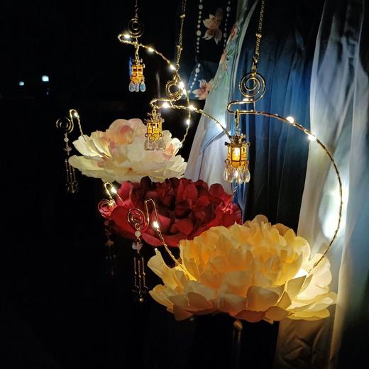 月下小居古风汉服牡丹芙蓉灯笼diy 手提灯笼中国风汉服拍照道具 商品图0