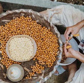 不时不食，过时不候，一期一会丨苏州南塘纯手剥新鲜鸡头米丨“水中人参”香甜弹糯