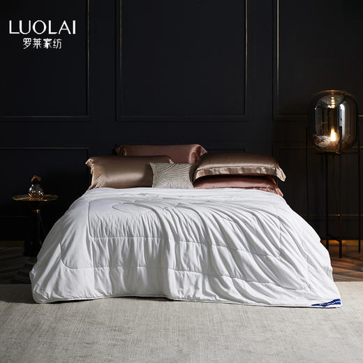 罗莱	悦·享 航天桑蚕丝四季被 商品图0