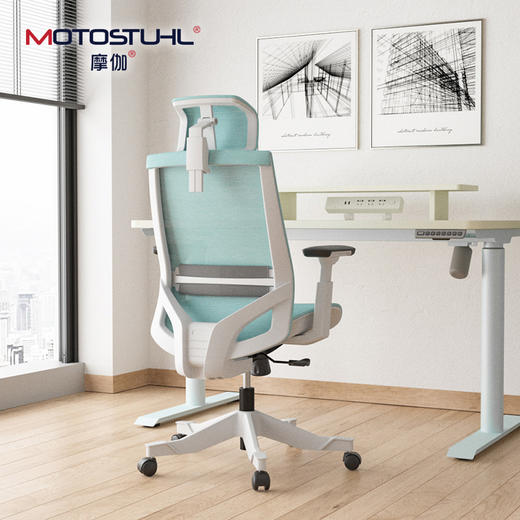 Motostuhl摩伽 M3人体工学椅电脑椅家用老板椅护腰办公椅电竞网椅 商品图0