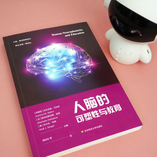 人脑的可塑性与教育 心智 脑与教育译丛 周加仙译丛主编 商品图1
