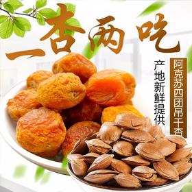 新疆阿克苏四团 2025年吊干杏 500g*2袋