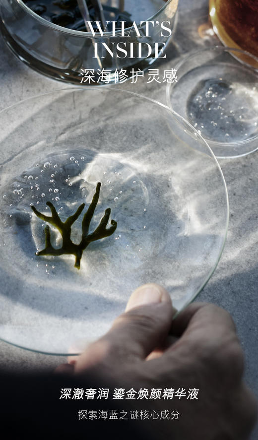 【中欧班列精选】 美国 海蓝之谜鎏金焕颜精华液150ml Y BF 商品图3
